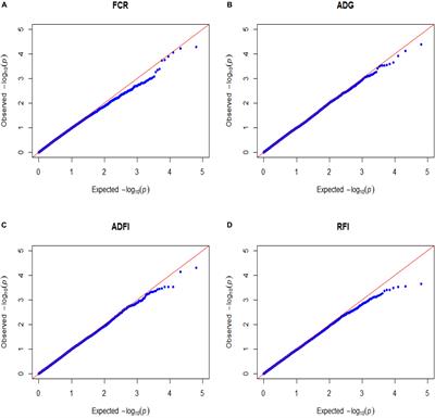 A Genome-Wide Association Study on Feed Efficiency Related Traits in Landrace Pigs